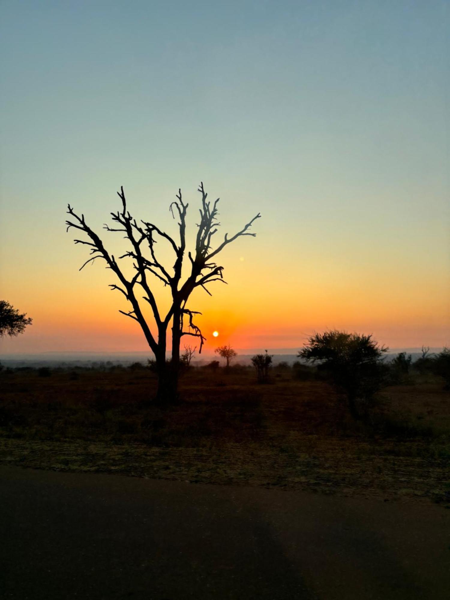 Villa Leopards Lookout Marloth Park Exteriör bild